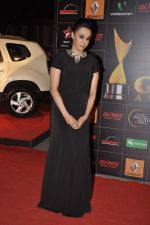 Swara Bhaskar at The Renault Star Guild Awards Ceremony in NSCI, Mumbai on 16th Jan 2014